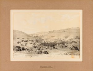 Índios a cercar o Búfalo--no. 9 de George Catlin