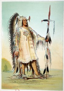 Índios da América: Mah-To-Toh-Pa (Mah To Toh Pa), segundo chefe Mandão em vestido de chefe. Ilustração de George Catlin (1794-1872) de George Catlin