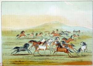 Índios da América: cavalos selvagens caçados por índios. Ilustração de George Catlin (1794-1872) de George Catlin