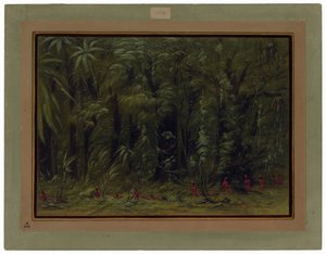 Interior de uma floresta amazónica - Zurumati de George Catlin