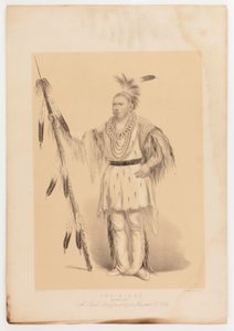 Joc-o-sot, o Urso Andante de George Catlin