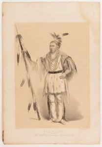Joc-o-sot, o Urso Andante de George Catlin