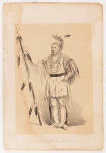 Joc-o-sot, o Urso Andante de George Catlin