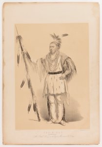 Joc-o-sot, o Urso Andante de George Catlin
