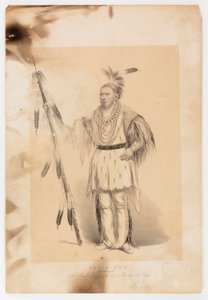 Joc-o-sot, o Urso Andante de George Catlin