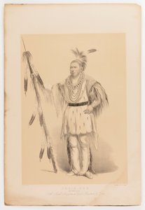 Joc-o-sot, o Urso Andante de George Catlin