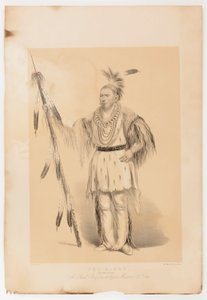 Joc-o-sot, o Urso Andante de George Catlin
