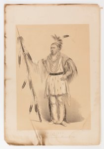 Joc-o-sot, o Urso Andante de George Catlin