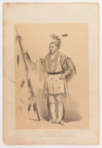 Joc-o-sot, o Urso Andante de George Catlin
