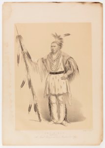 Joc-o-sot, o Urso Andante de George Catlin