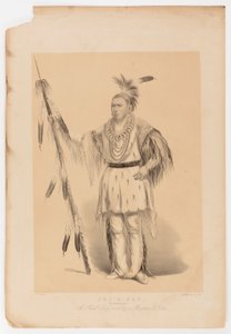Joc-o-sot, o Urso Andante de George Catlin