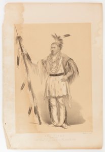 Joc-o-sot, o Urso Caminhante de George Catlin