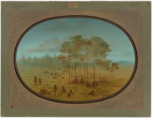 Índios Kiowa colhendo uvas silvestres de George Catlin