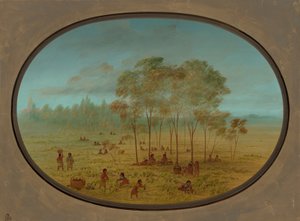 Índios Kiowa Colhendo Uvas Silvestres, 18611869. de George Catlin