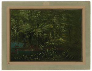 Floresta luxuriante na margem do Amazonas de George Catlin