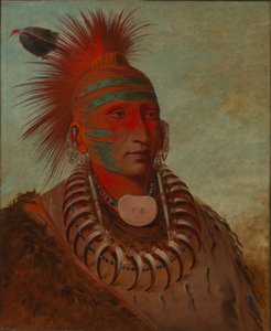No-ho-mun-ya, Aquele que não dá atenção de George Catlin