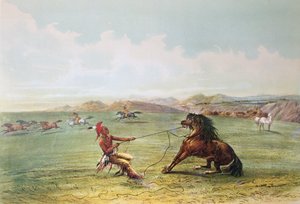 Caçadores de ossos que apanham cavalos selvagens (cor litho)