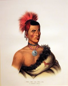 Pawnee Chief Pes Ke Le Cha Co de George Catlin
