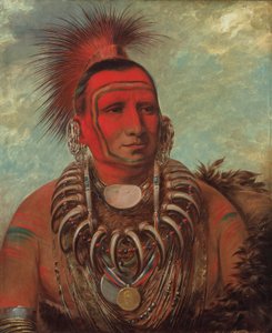Shon-ta-yi-ga, Lobo Pequeno, um guerreiro famoso de George Catlin