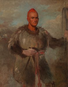 Floresta. de George Catlin