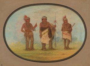 Floresta. de George Catlin