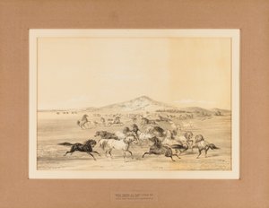 Cavalos selvagens a brincar--no. 3 de George Catlin