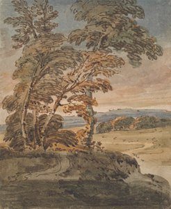 Árvores num Caminho da Colina de George Chinnery