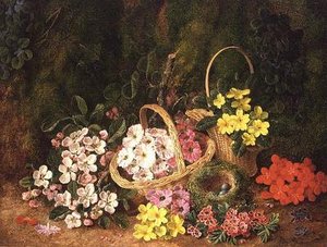 Flores de molas em cestos