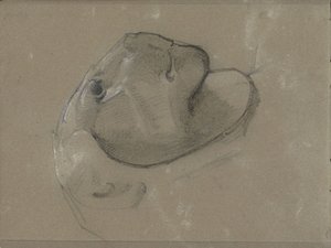 Cabeça de leão, presumivelmente depois de uma escultura de George Clausen