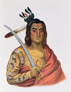 Mou-Ka-Ush-Ka ou "The Trembling Earth", um chefe Yankton Sioux, ilustração de "As tribos indígenas da América do Norte", de Thomas L. McKenney e James Hall, pub. John Grant