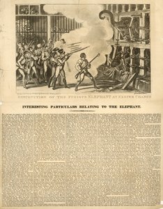 Destruição do elefante furioso em Exeter Change de George Cruikshank