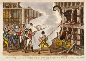 Floresta. de George Cruikshank