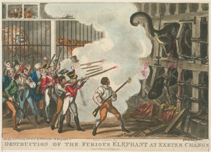 Destruição do elefante furioso em Exeter Change, 1826 de George Cruikshank