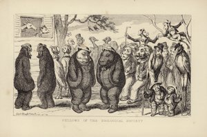 Companheiros da Sociedade Zoológica de George Cruikshank