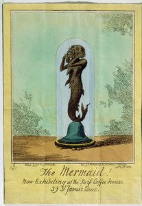A, sereia, agora, exibindo, em, a, relvado, café, casa, st., James, rua, 1822 de George Cruikshank