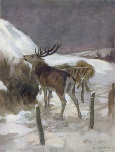 Ilustração para The Story of a Red Deer (lito colorido) de George Denholm Armour