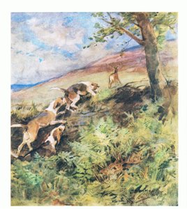 O velho veado deitou-se na cama de Rusty enquanto o veado mais jovem partiu, com os cães em perseguição (lito colorido) de George Denholm Armour
