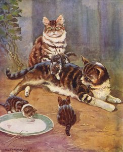 A Nell era uma linda tabby (litografia a cores)