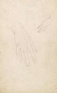 Estudo das mãos