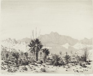 Uma Miragem, Arizona de George Elbert Burr