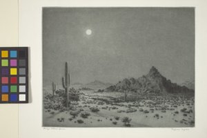 Noite do Arizona de George Elbert Burr