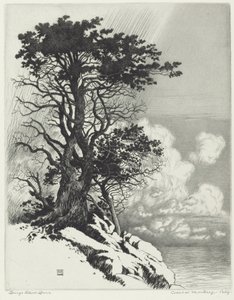 Costa em Monterey, Califórnia de George Elbert Burr
