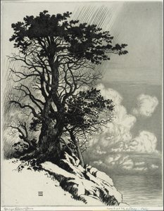 Costa em Monterey, Califórnia de George Elbert Burr