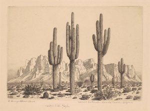 Sentinelas do Deserto, Apache Trail, Arizona de George Elbert Burr