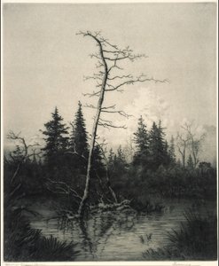 Noite de George Elbert Burr