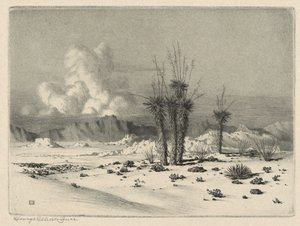 Noite, Arizona de George Elbert Burr