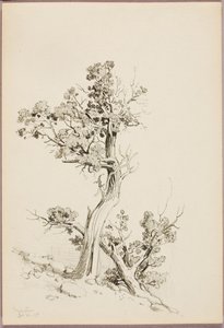 Manitou de George Elbert Burr