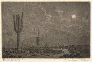Moonlight-Phoenix de George Elbert Burr