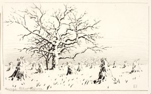 Motivo da gravura de George Elbert Burr