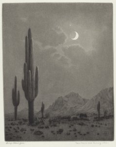 Lua Nova e Estrela da Noite de George Elbert Burr